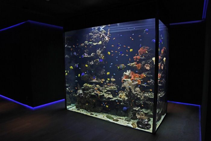 Meeresaquarium
